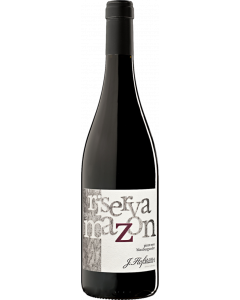 206057-pinot-nero-riserva-alto-adige-dop-75-cl.png