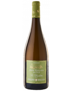 307117-les-diovolettes-domaine-jean-vuillen-fils.png